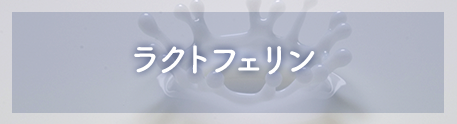 ラクトフェリン