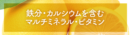 鉄分・カルシウムを含むマルチミネラル・ビタミン