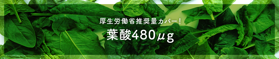 厚生労働省推奨量カバー!葉酸480μg