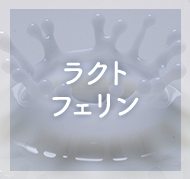 ラクトフェリン