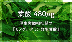 葉酸 480μg 厚生労働省推奨の『モノグルタミン酸型葉酸』