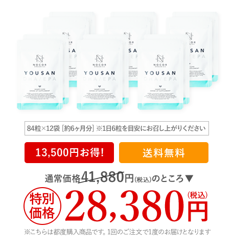 NOCOR 葉酸＋DHA/EPA 6ヶ月セット 税込28,380円
