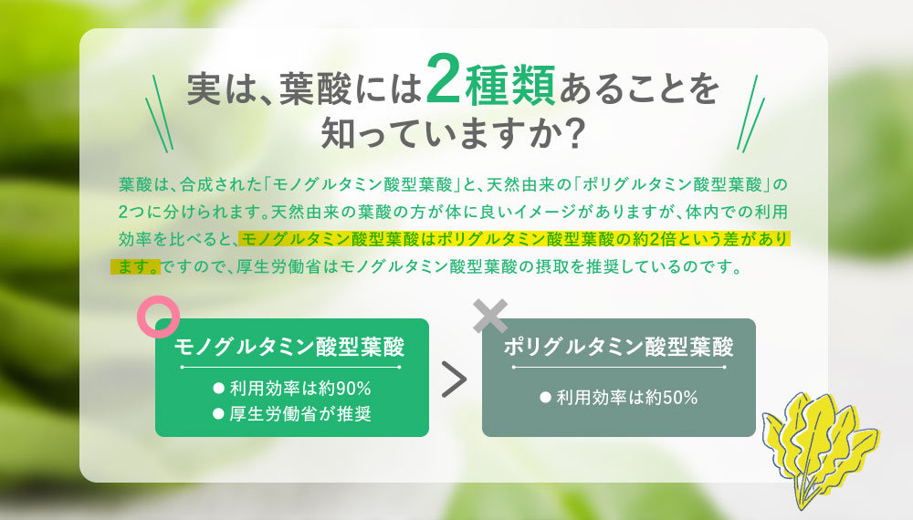 実は、葉酸には2種類あることを知っていますか?
葉酸は、合成された「モノグルタミン酸型葉酸」と、天然由来の「ポリグルタミン酸型葉酸」の2つに分けられます。天然由来の葉酸の方が体に良いイメージがありますが、体内での利用効率を比べると、モノグルタミン酸型葉酸はポリグルタミン酸型葉酸の約2倍という差があります。ですので、厚生労働省はモノグルタミン酸型葉酸の摂取を推奨しているのです。
