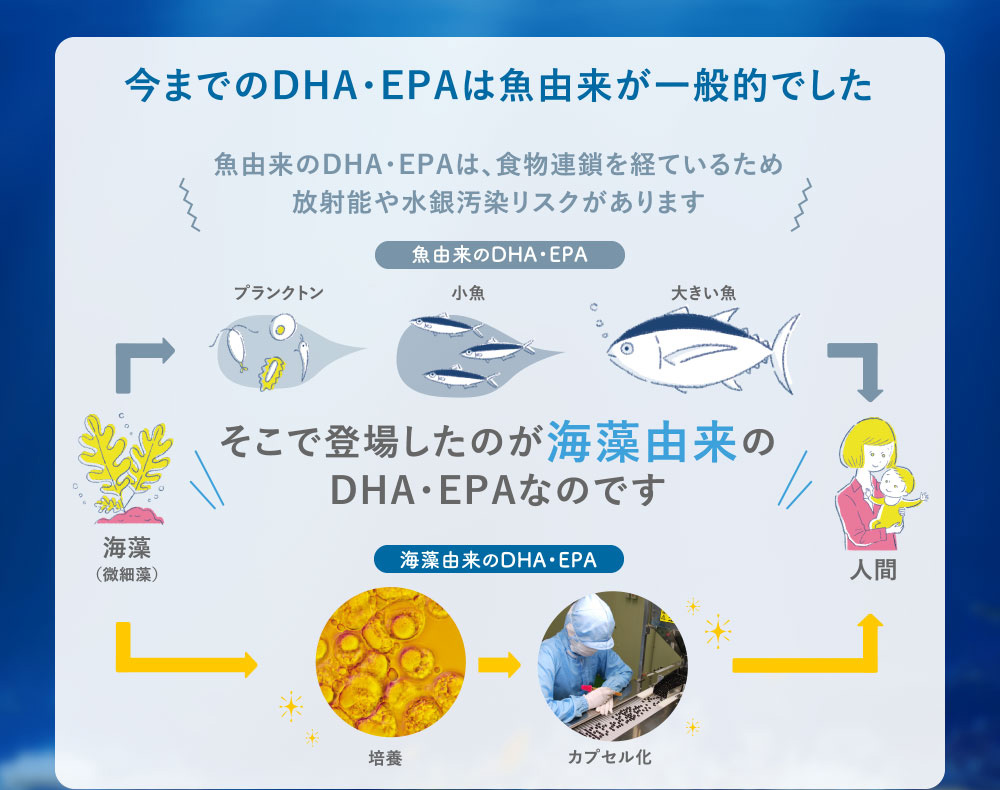 今までのDHA・EPAは魚由来が一般的でした
魚由来のDHA・EPAは、食物連鎖を経ているため放射能や水銀汚染リスクがあります
そこで登場したのが海藻由来のDHA・EPAなのです