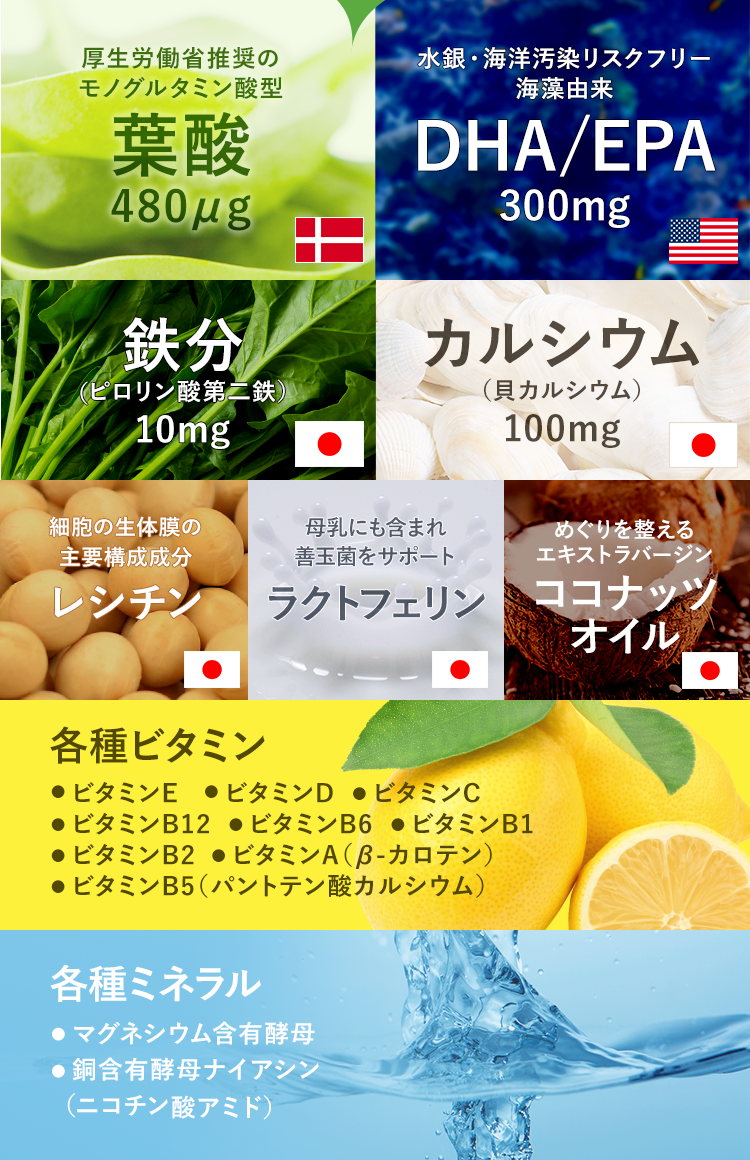 葉酸 DHA/EPA 鉄分 カルシウム レシチン ラクトフェリン ココナッツオイル 各種ビタミン 各種ミネラル