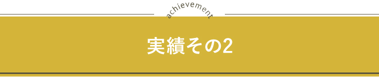 実績その2