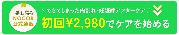 初回2,980円でケアを始める