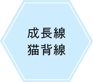 成長線・猫背線