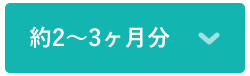 約2～3ヶ月分
