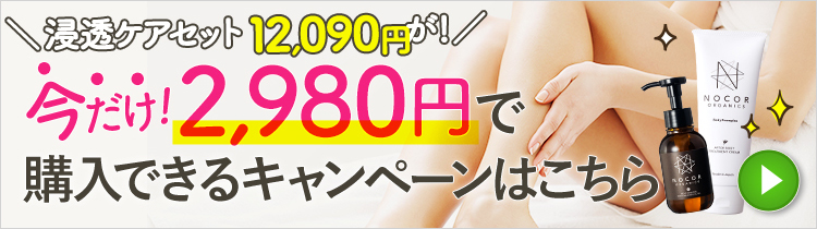 今だけ2,980円で購入できるキャンペーン