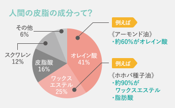 人間の皮脂の成分って？　オレイン酸41%、ワックスエステル25%、皮脂酸16%、スクワレン12%、その他6％