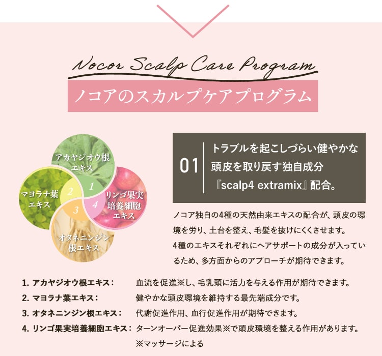 トラブルを起こしづらい健やかな頭皮を取り戻す独自成分『scalp4 extramix』配合。